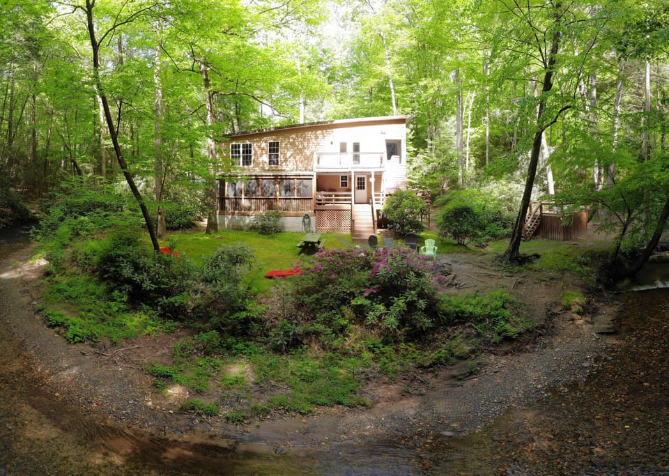 Panoramic photo of backyard creekside