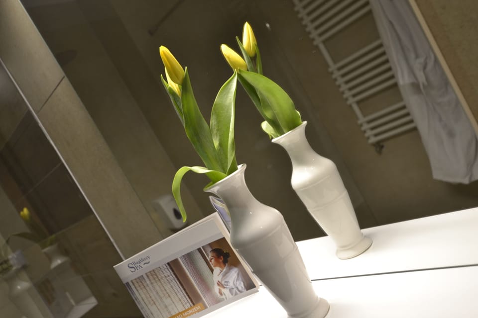Double or Twin Room | Bathroom amenities | Shower, free toiletries, hair dryer, towels
