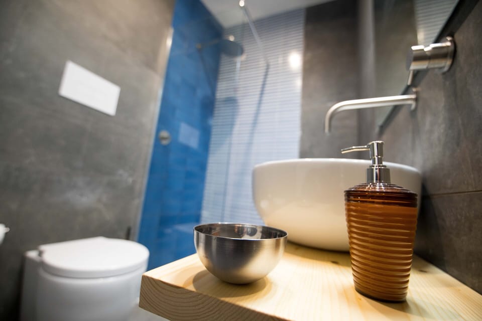 City Room | Bathroom | Shower, free toiletries, hair dryer, bidet