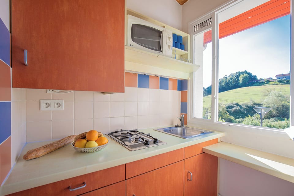 Fridge, microwave, stovetop, electric kettle