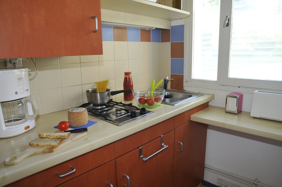 Fridge, microwave, stovetop, electric kettle