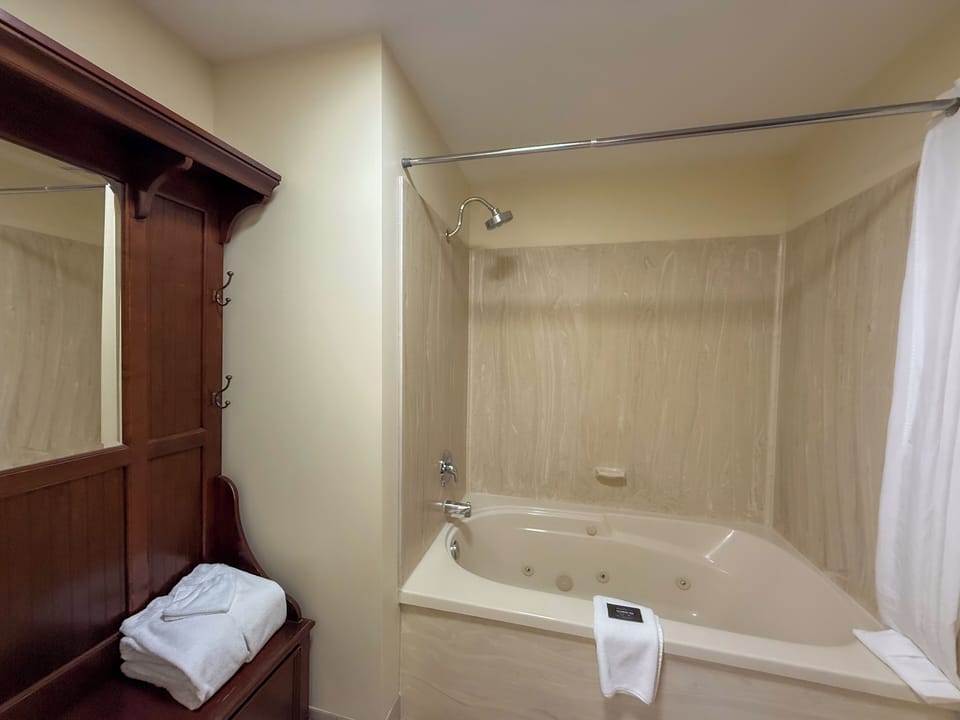 Suite (pullman) | Bathroom | Free toiletries, hair dryer, towels, soap