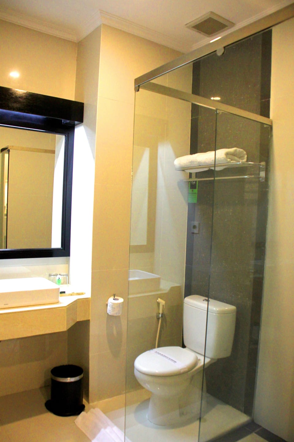 Bathroom shower