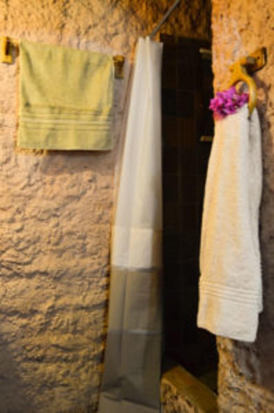 Shower, free toiletries, towels