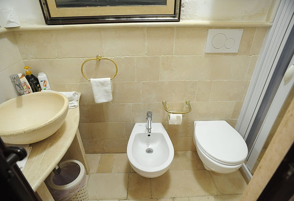 Shower, free toiletries, hair dryer, bidet