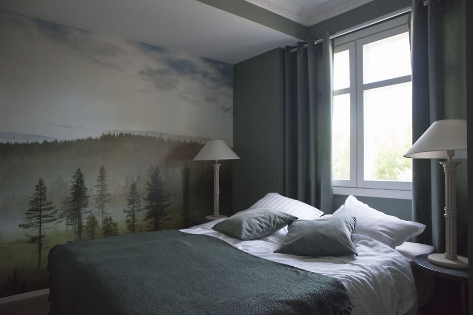 Superior Double or Twin Room | Iron/ironing board, free WiFi, bed sheets