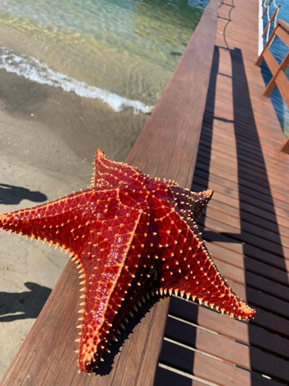 On the beach