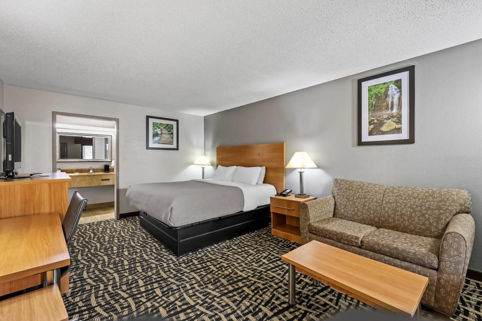 Standard Room, 1 King Bed, Non Smoking | Blackout drapes, iron/ironing board, WiFi (free), bed sheets