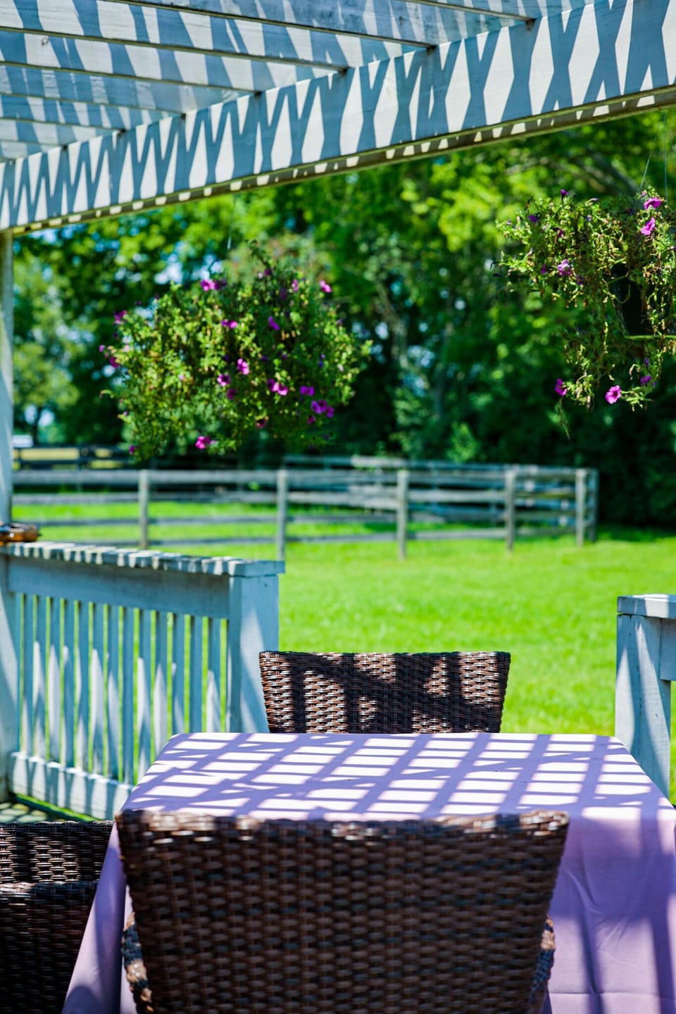 Back porch views.
