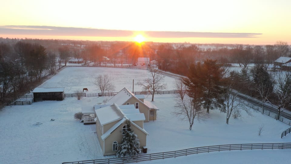 Winter scene