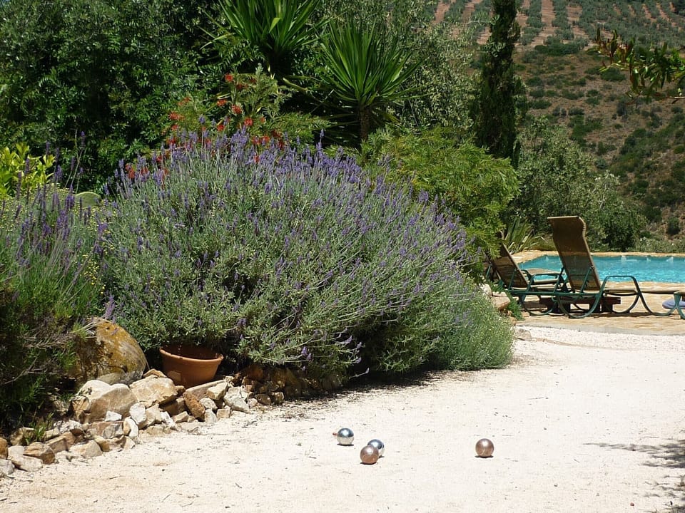 Petanque / Boules by the pool