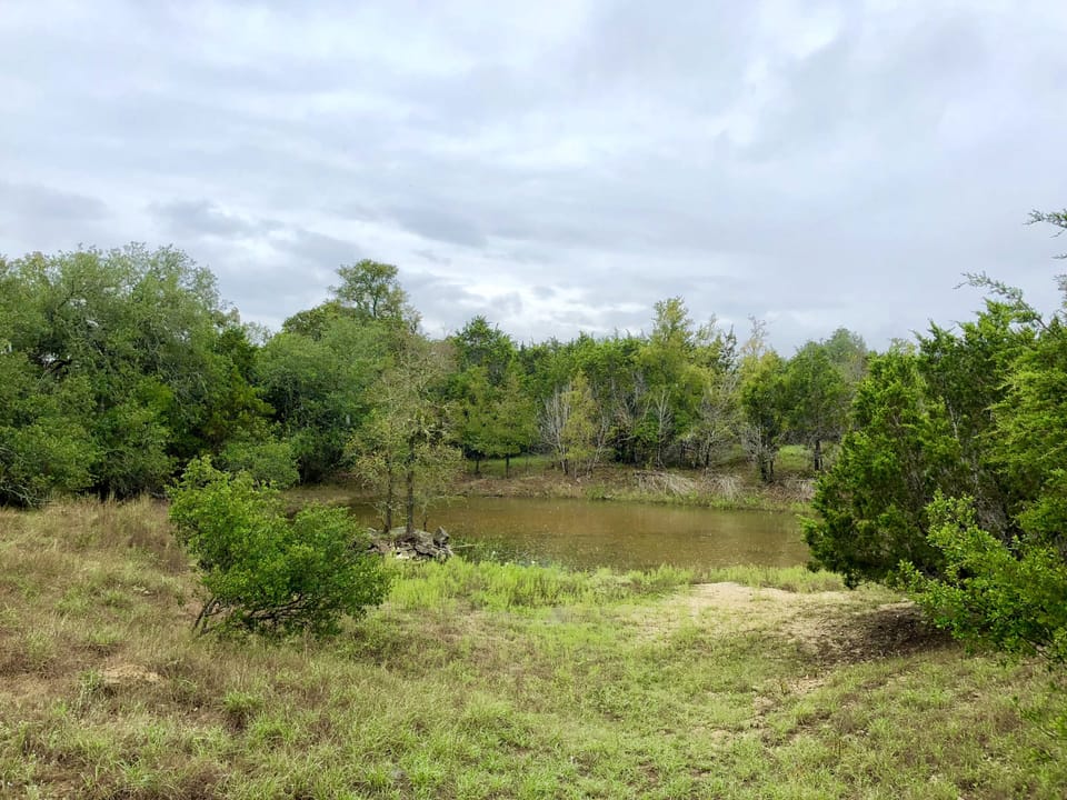 Wet weather pond