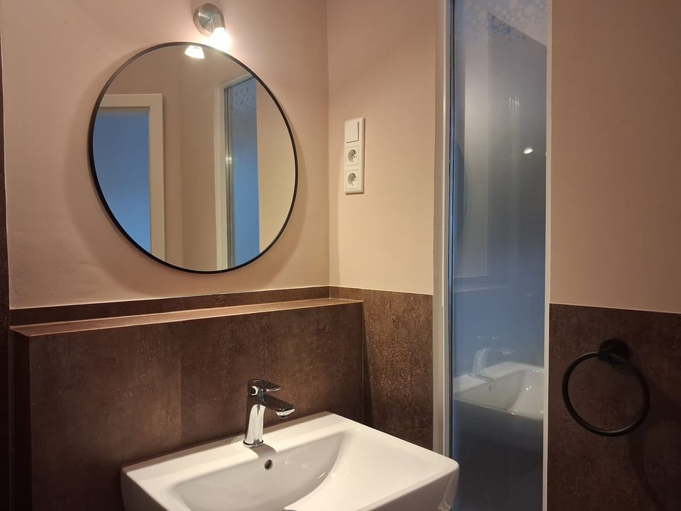 Double or Twin Room | Bathroom | Shower, hair dryer, soap, shampoo