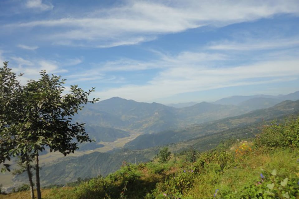 View from property