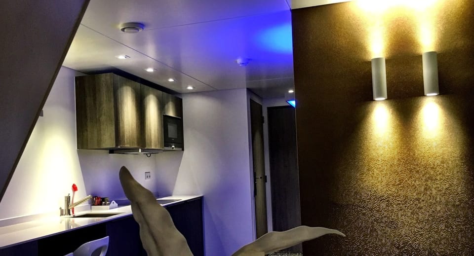 Superior Room | In-room safe, desk, soundproofing, iron/ironing board