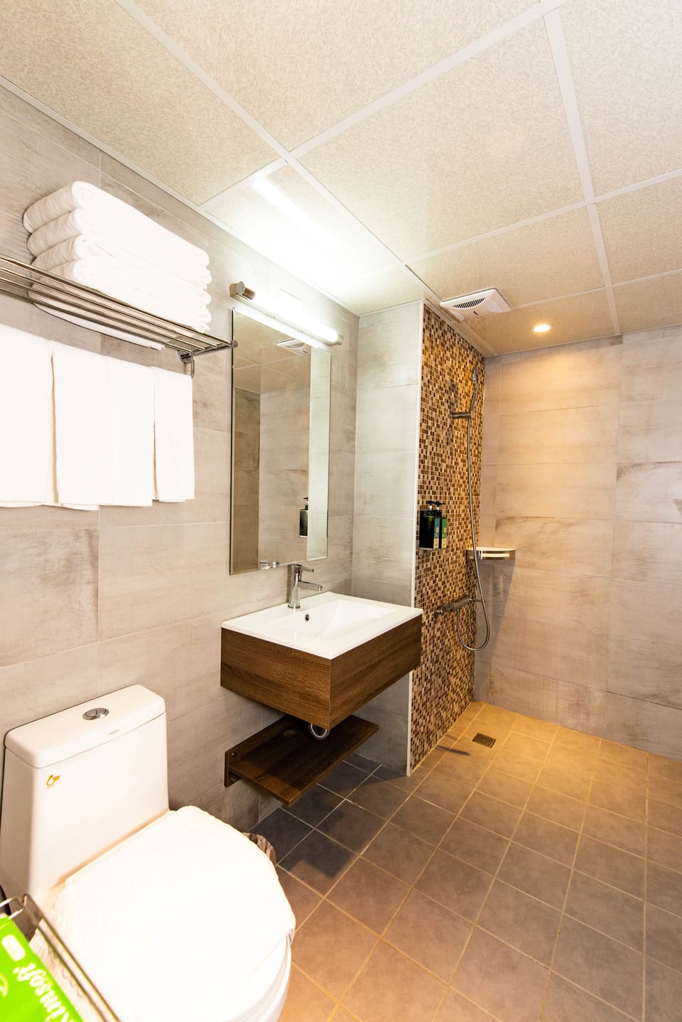 Shower, free toiletries, hair dryer, slippers