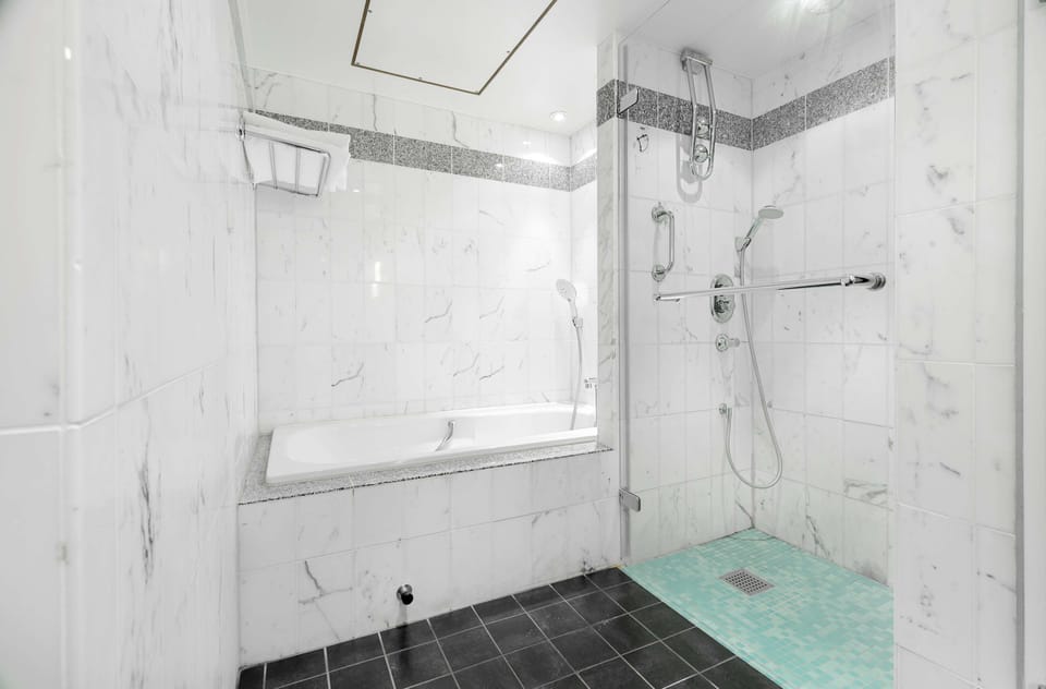 Combined shower/tub, hair dryer, towels
