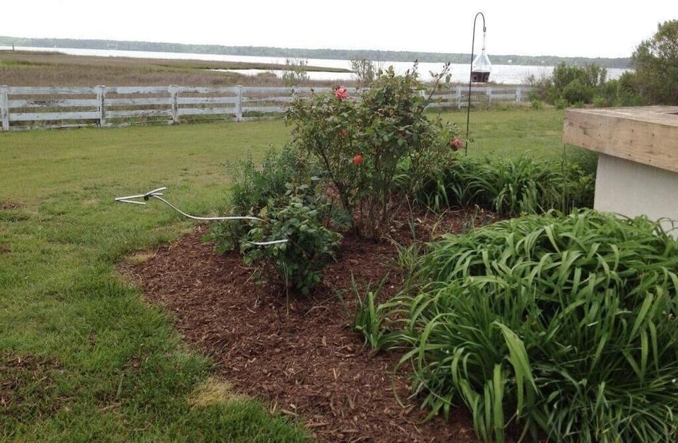 Mr. Heron guards the flower bed and watches over morning on the river. 