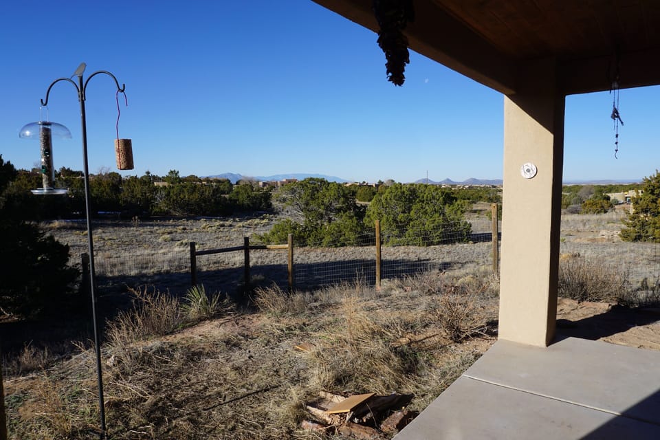 Fenced back yard