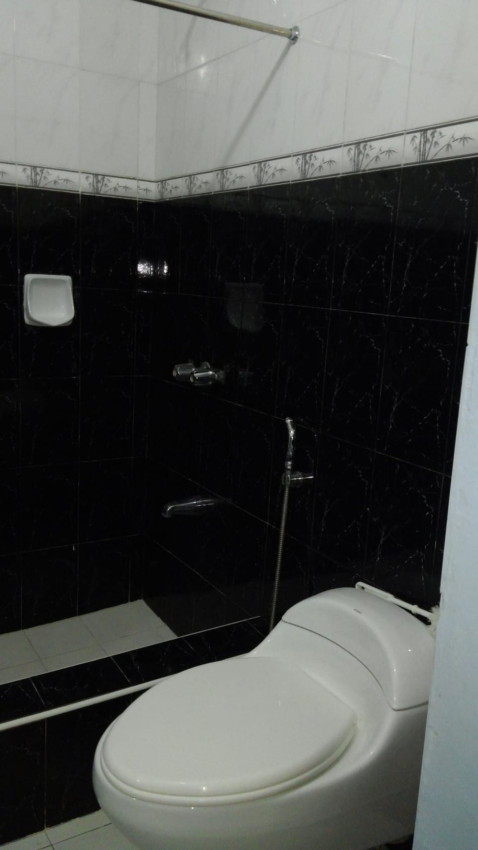 Shower, free toiletries, bidet