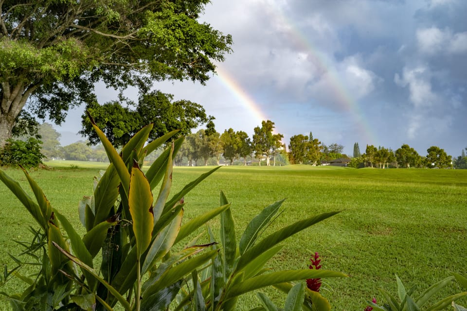 View From Living Room Lanai