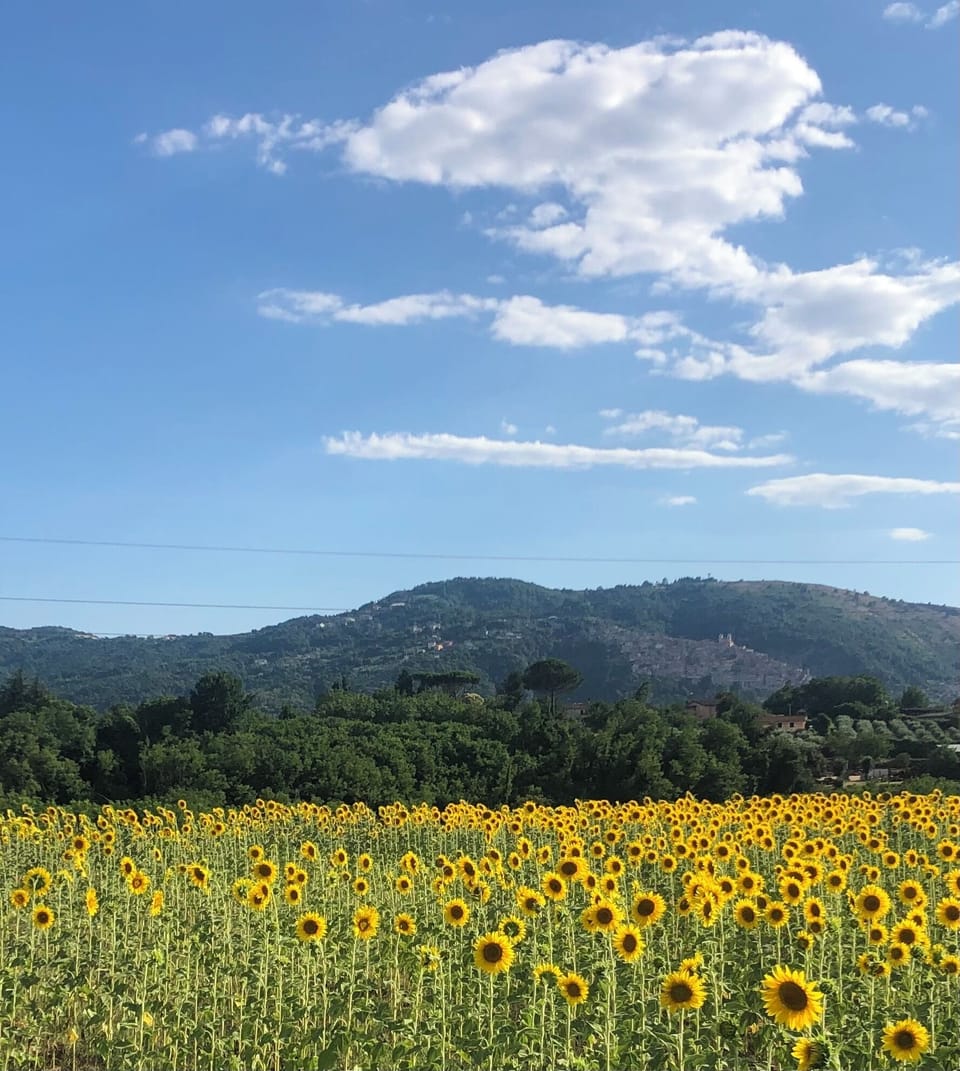 Land view from property