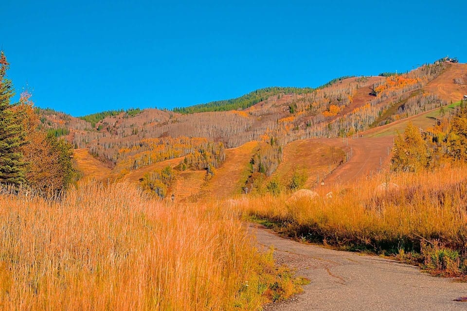 The walking path that takes you to the slopes.