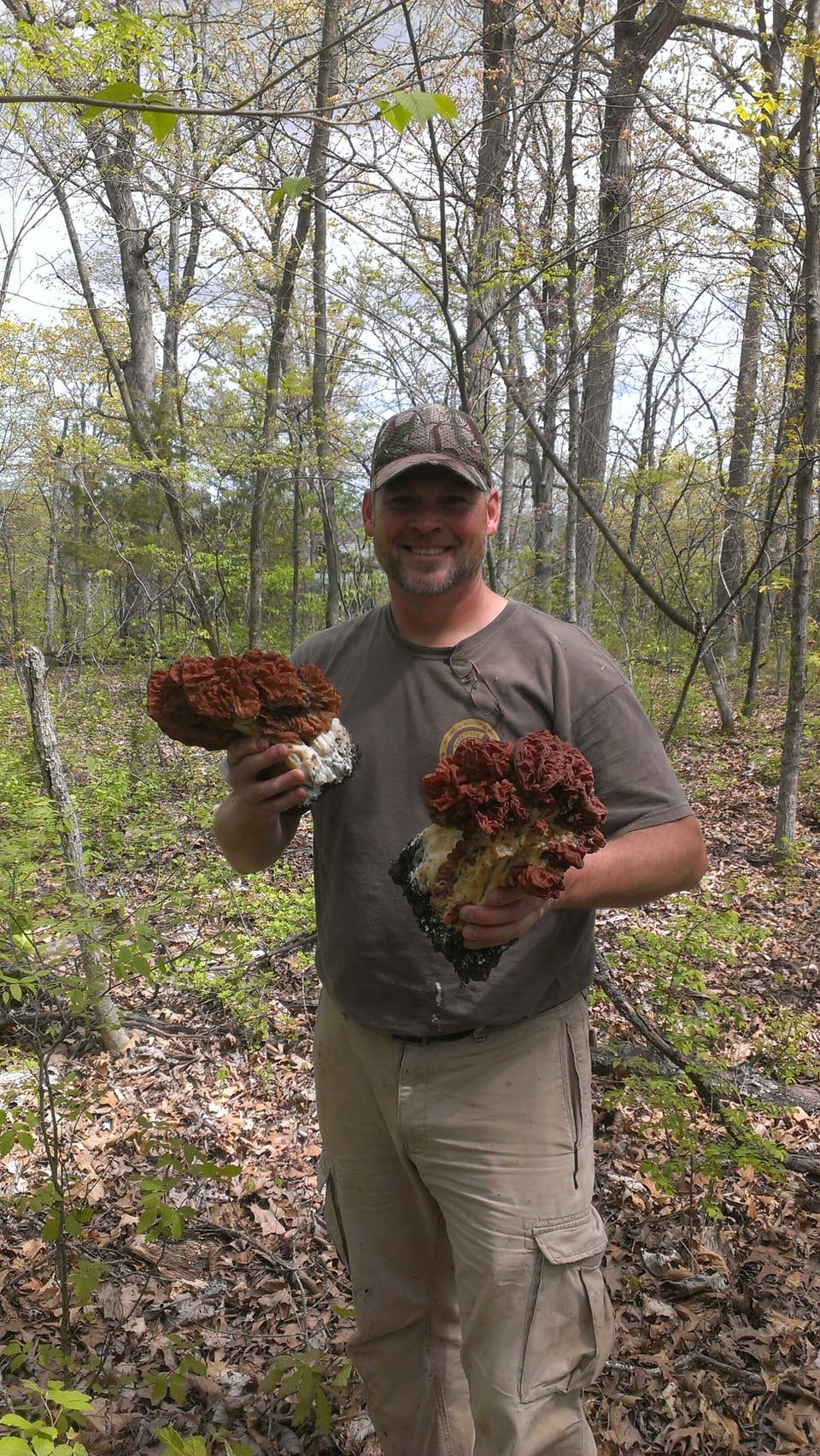 Great area for mushrooming.