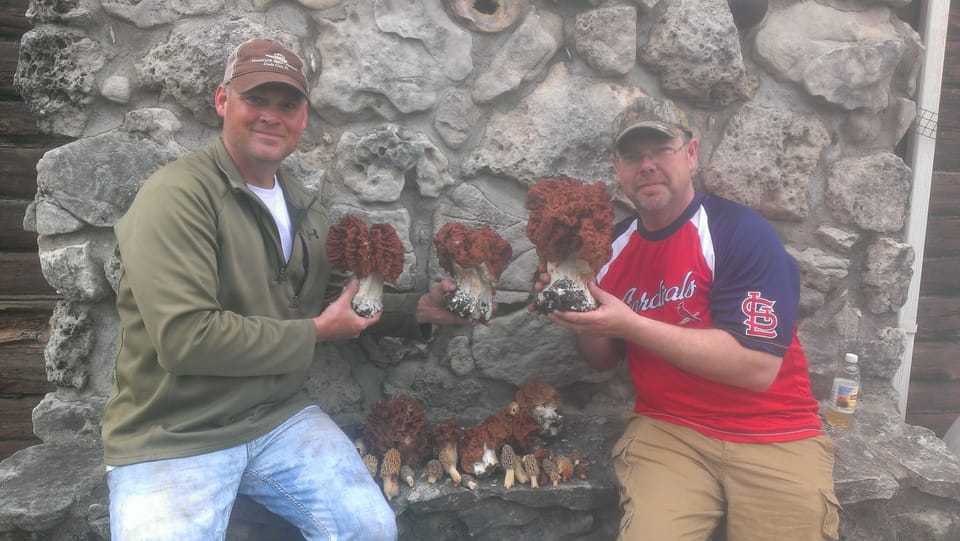 Great area for mushrooming.