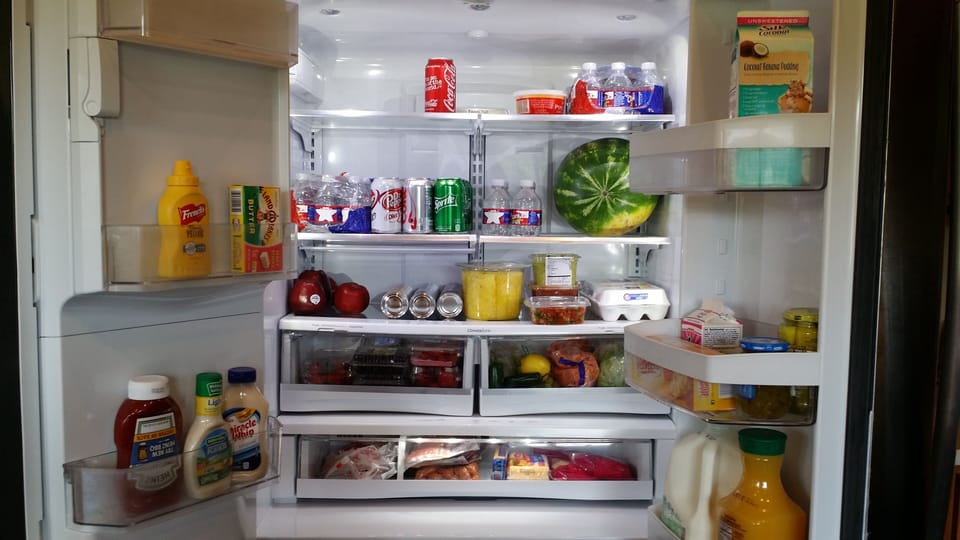 French door fridge