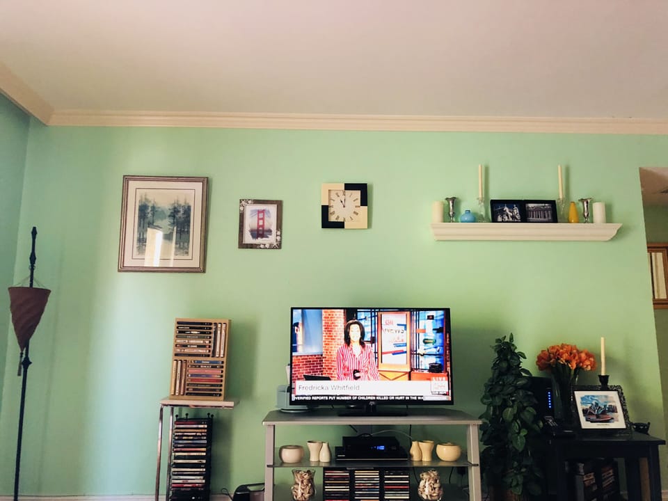 Living room with large flat screen TV and DVD player 