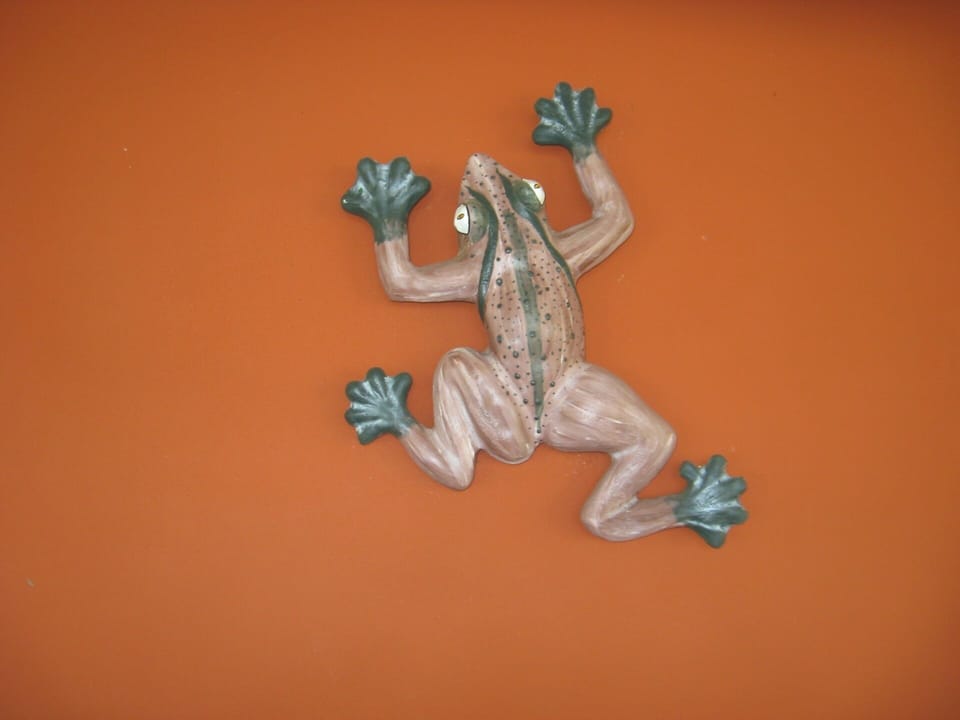 Coqui
