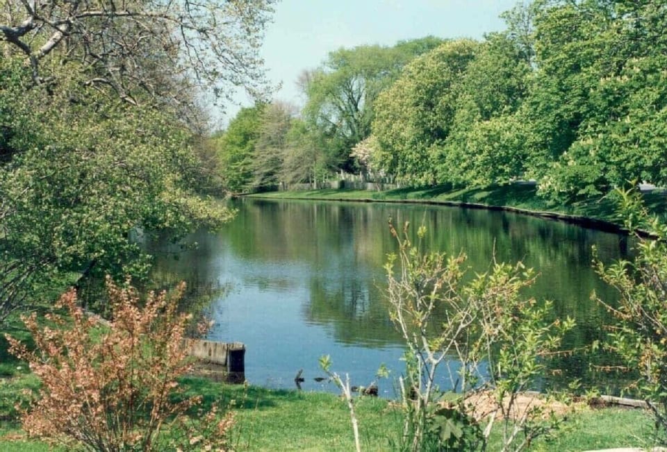 Lovely Town Pond 