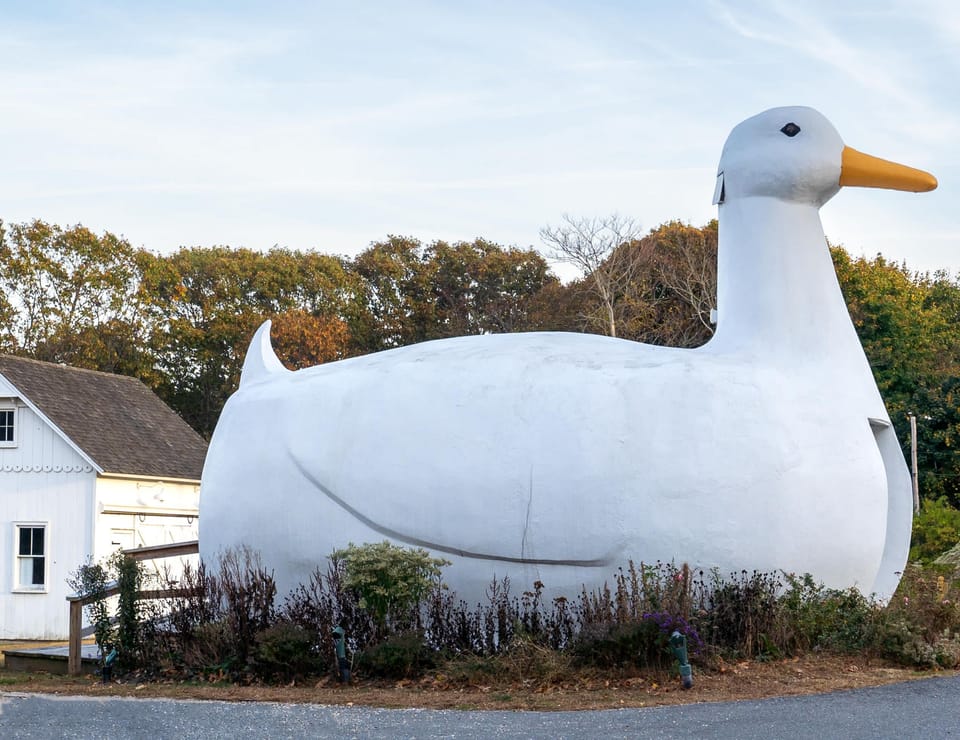 The Big Duck