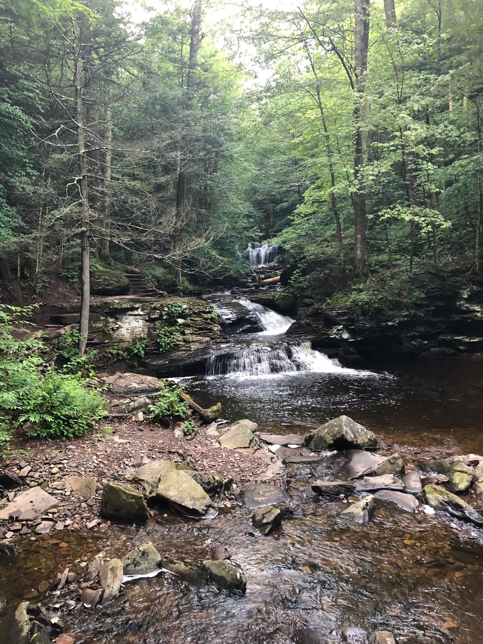 Ricketts Glen - a MUST see!