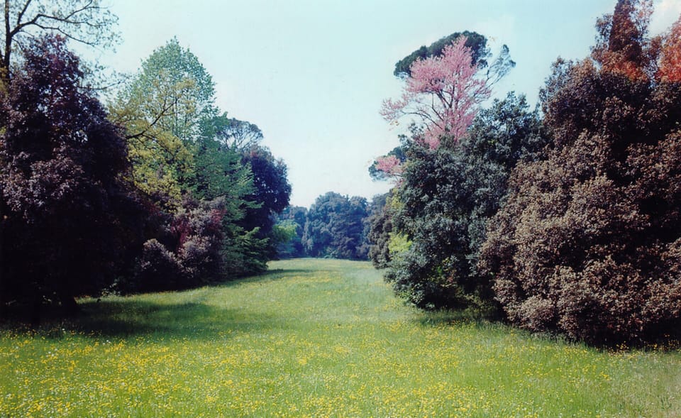 A view of our private park