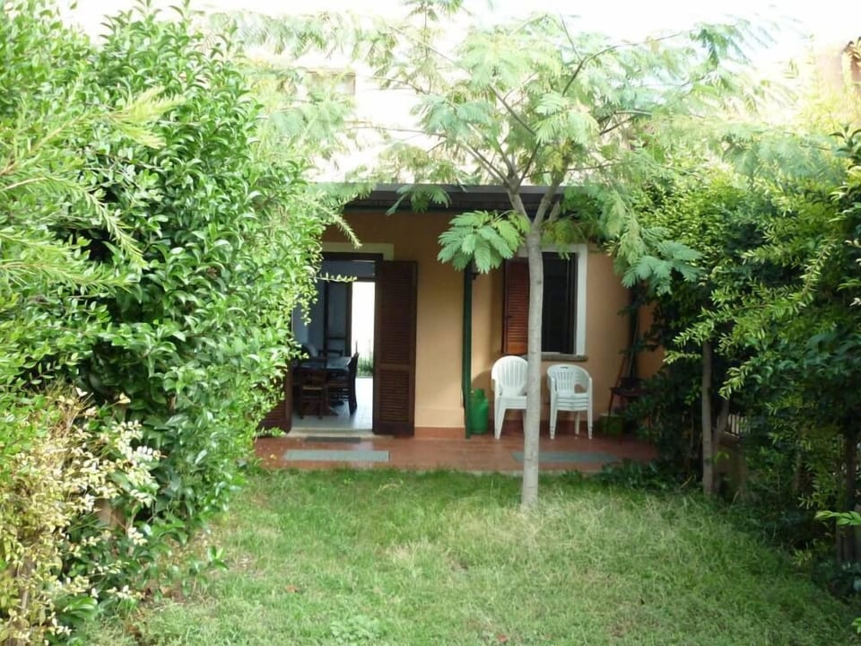 Back yard