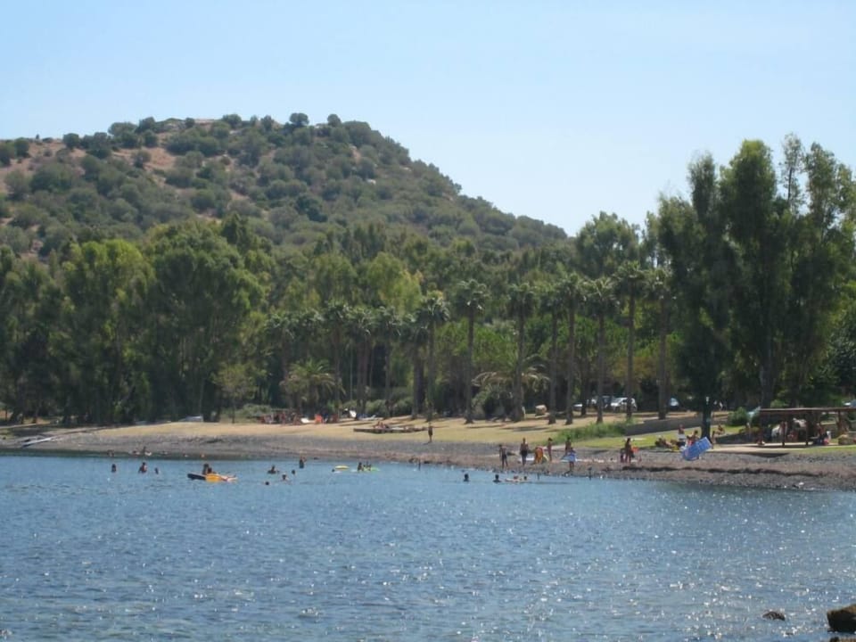 Beach of the complex