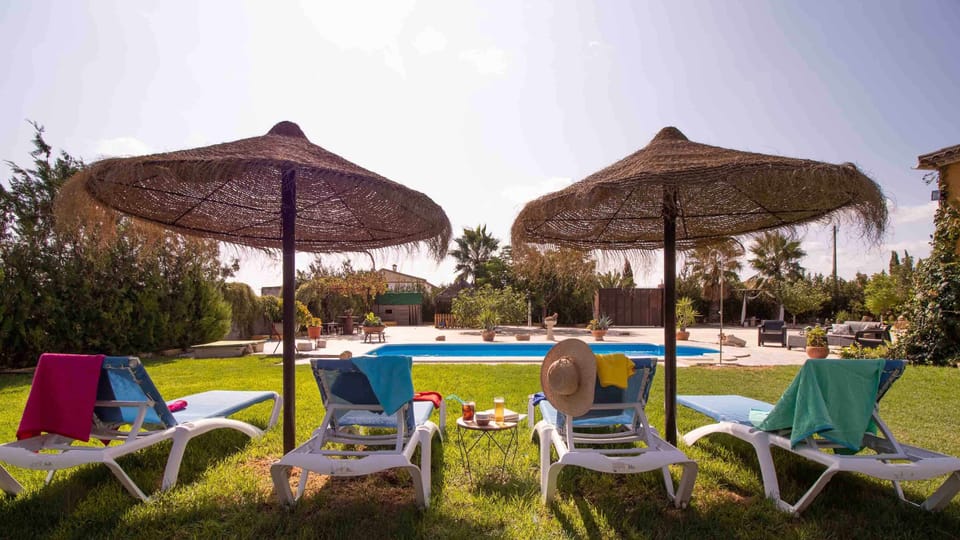 Garden,Garden view,Pool view,Swimming pool