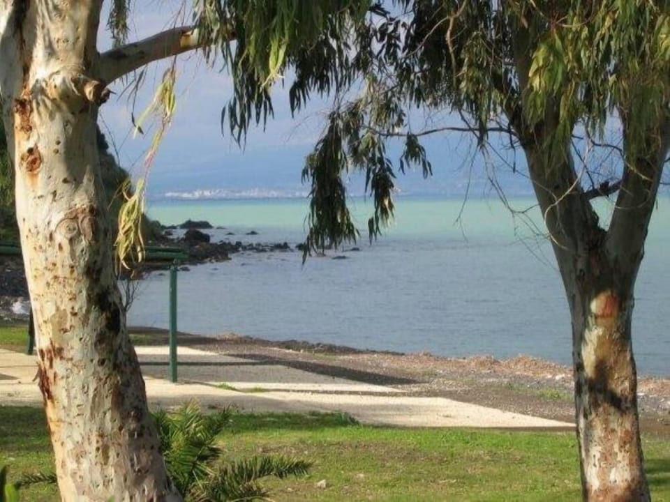 Beach of the complex