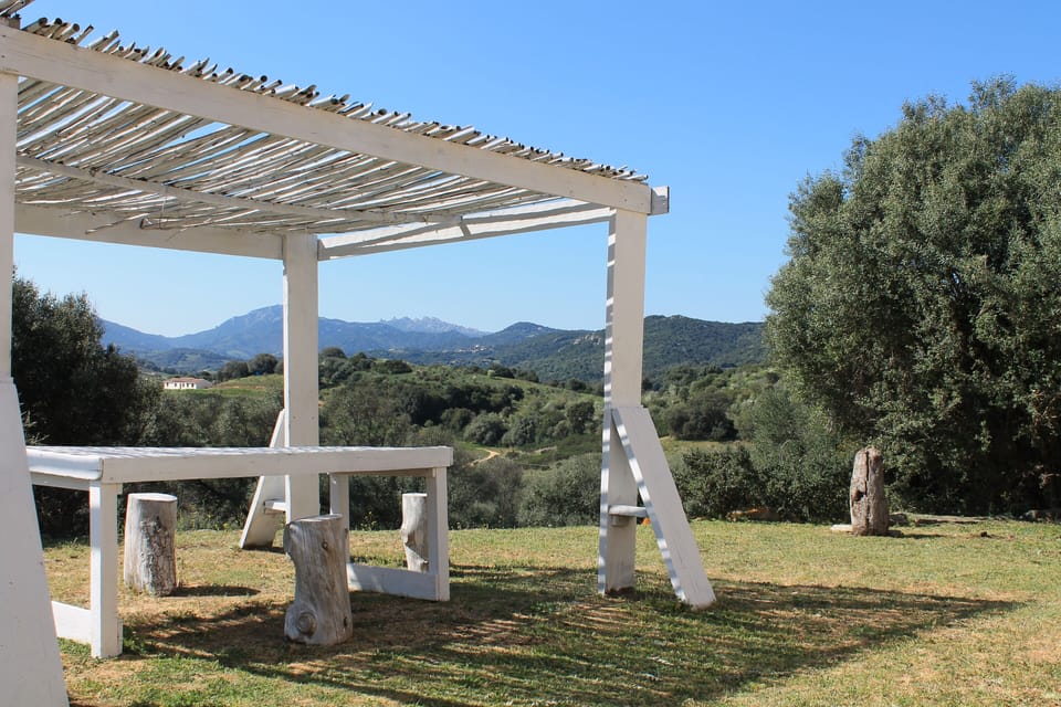 Outside the house you will find the veranda with table and chairs