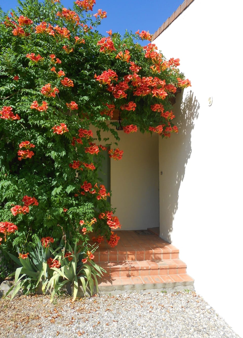 steps to villa entrance