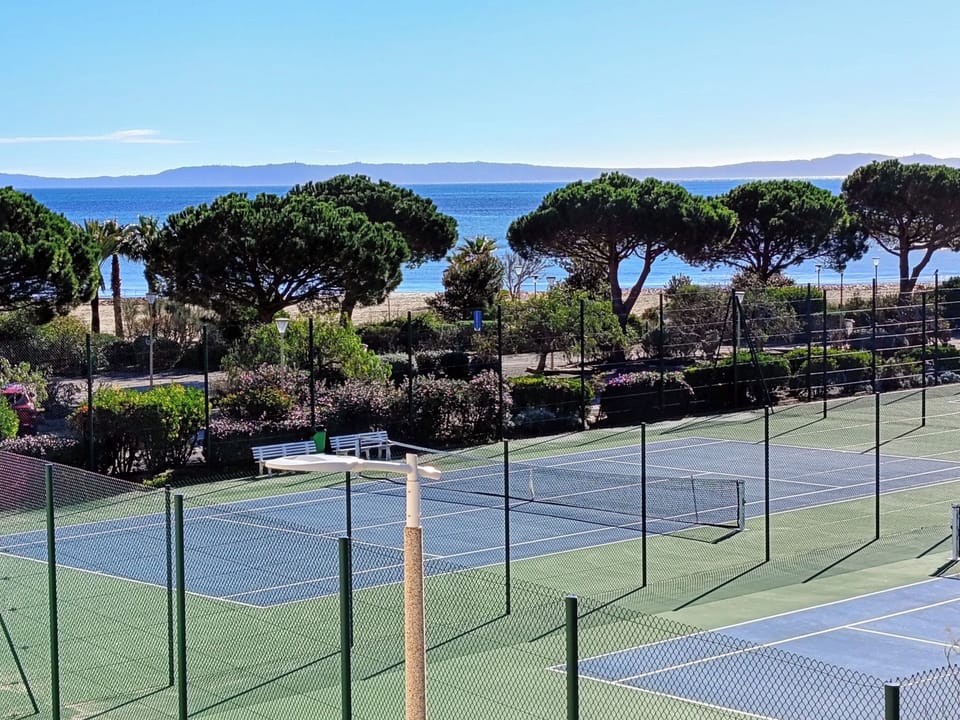 Sport court