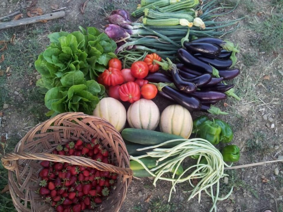 Fresh vegetables from our vegetable garden