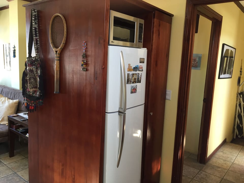 Refrigerator, microwave