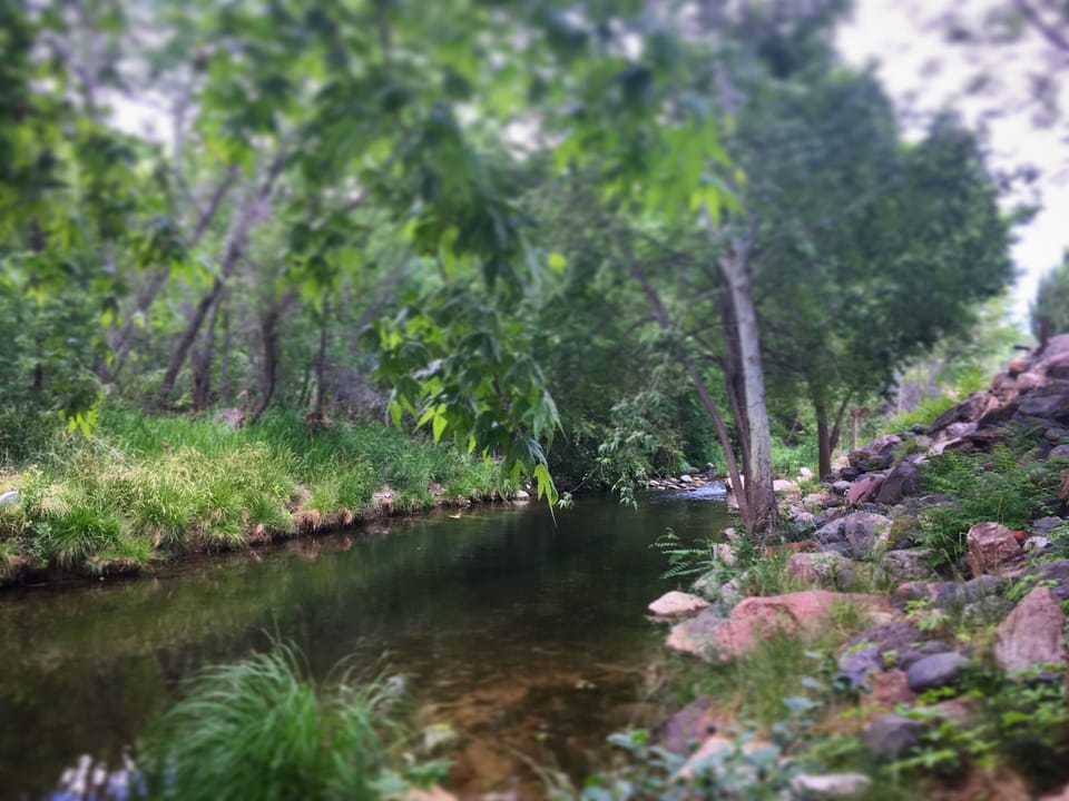 Up stream, here's the lap pool.  A long stretch of water, all yours to embrace. 