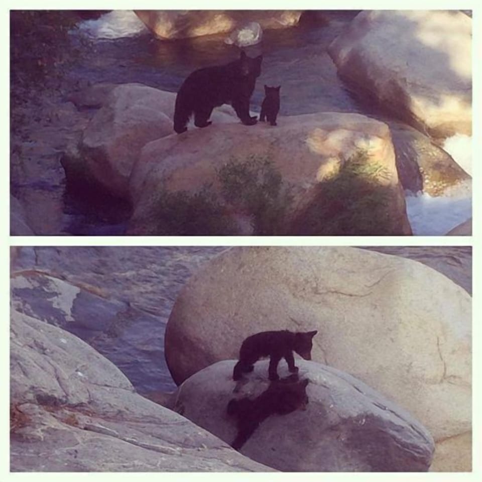 Taken at the Gateway restaurant over looking the river.