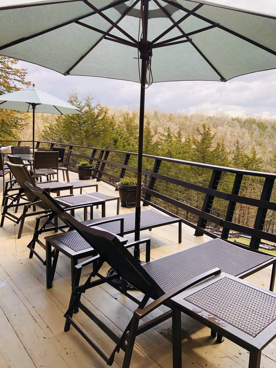 Enjoy lounging on the back deck surrounded with stunning foliage and views 