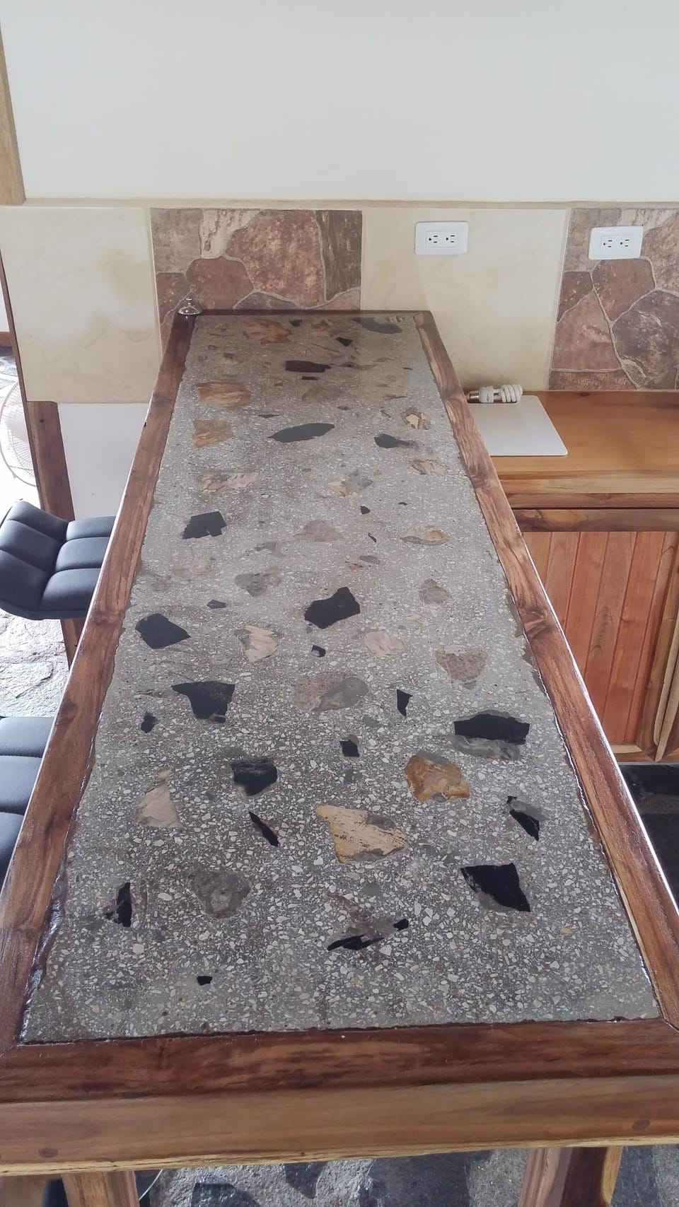 Petrified Wood and Coral Embedded Kitchen Counter 
