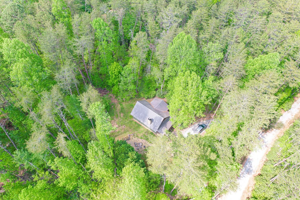 Hawk Eye View